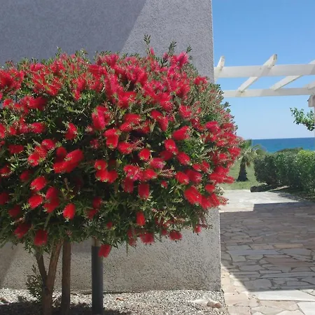 A Nuciola Les Pieds Dans L'eau Hte Corse