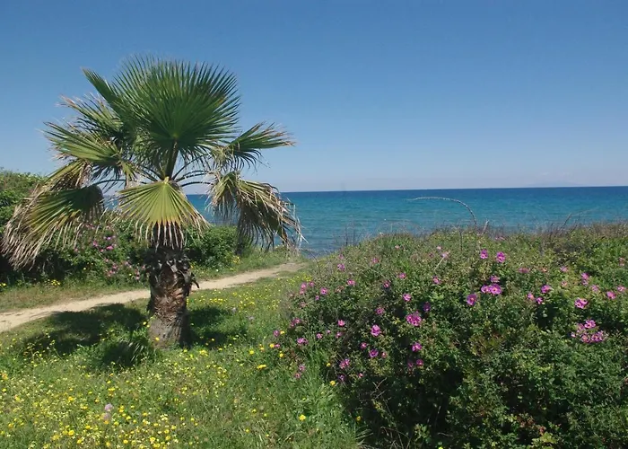 A Nuciola Les Pieds Dans L'eau Hte Corse Feriehus *
