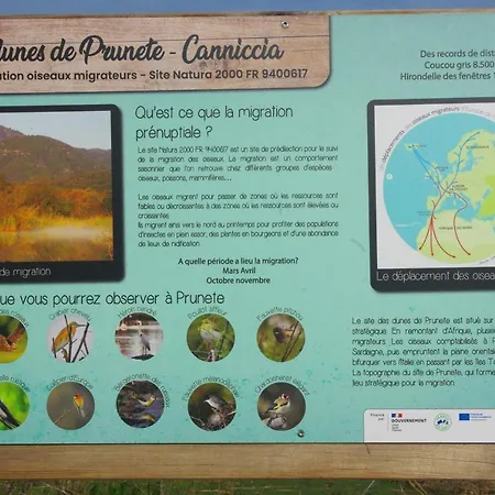Hébergement de vacances A Nuciola Les Pieds Dans L'eau Hte Corse Cervione