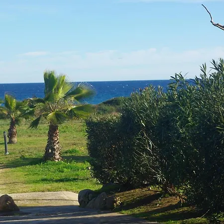 Feriehus A Nuciola Les Pieds Dans L'eau Hte Corse *