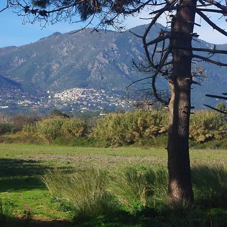 Résidence A Nuciola Les Pieds Dans L'eau Hte Corse