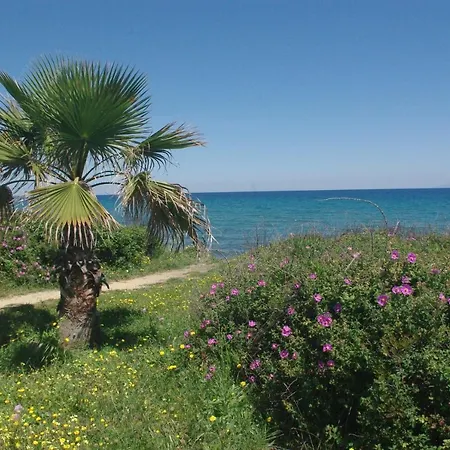 Résidence A Nuciola Les Pieds Dans L'eau Hte Corse Сasa de vacaciones *