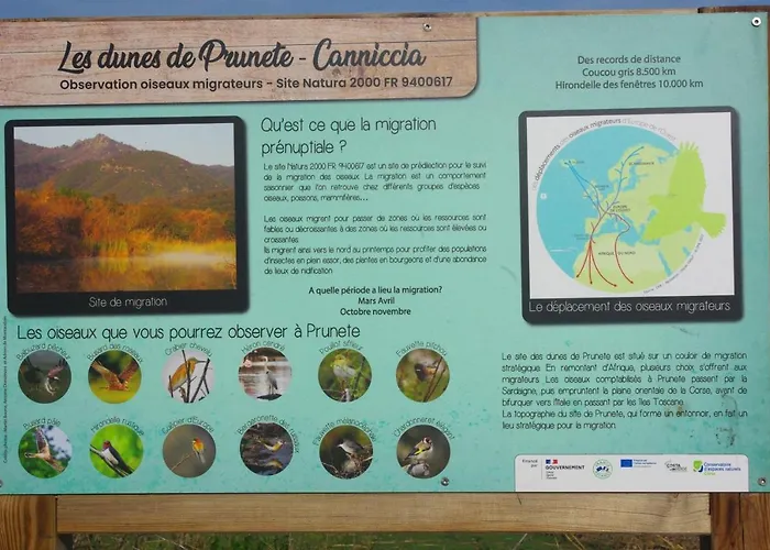 Prázdninový dům A Nuciola Les Pieds Dans L'eau Hte Corse Cervione