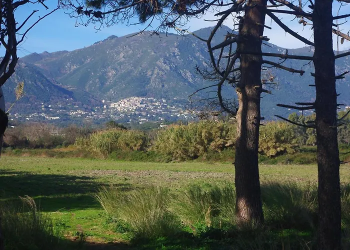 A Nuciola Les Pieds Dans L'eau Hte Corse