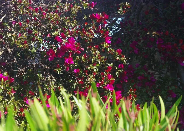 Prázdninový dům A Nuciola Les Pieds Dans L'eau Hte Corse